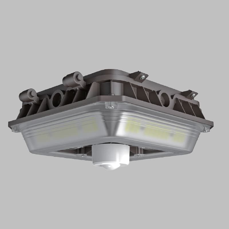 Canopy & Garage Lights